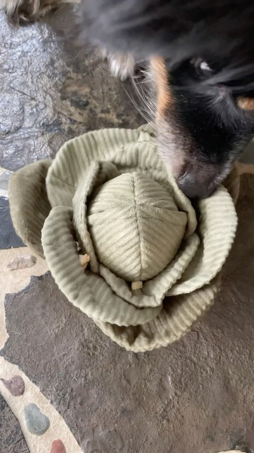 Instagram post by @lore.as.in.folklore for Lambwolf. Caption reads: Check out these adorable @lambwolf.co veggie toys!....