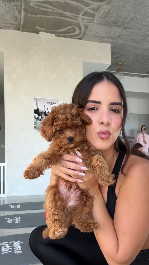 Instagram post by @itsmelorenaaa for Puppysphere. Caption reads: [...] need any fun plans this weekend,....