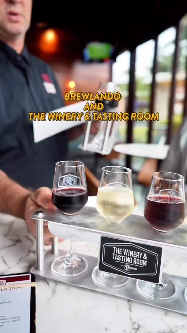 Instagram post by @livinglifemagically for Visit Orlando. Caption reads: Time to wine down at ICON Park! 🍇 Brewlando’s The....