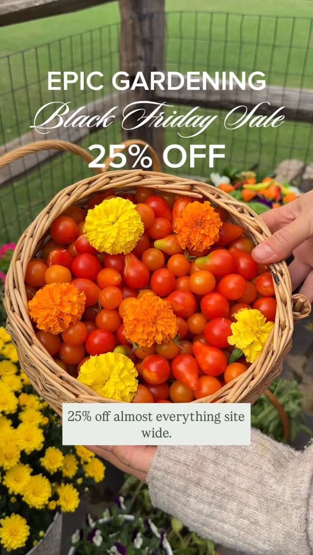 Instagram post by @self.homestead for Epic Gardening. Caption reads: This is definitely a Black Friday sale you should....