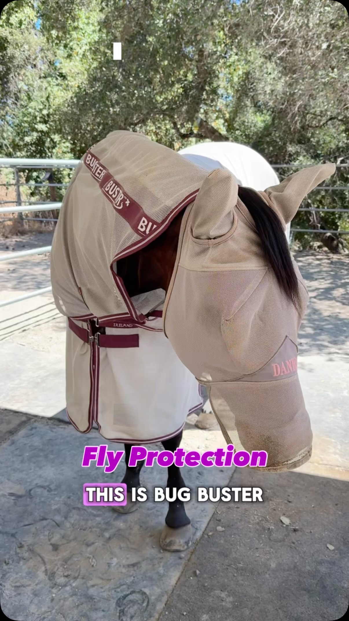 Instagram post by @madisontnequine for Corro Shop. Caption reads: Danica is suited up for the worst offenders thanks....