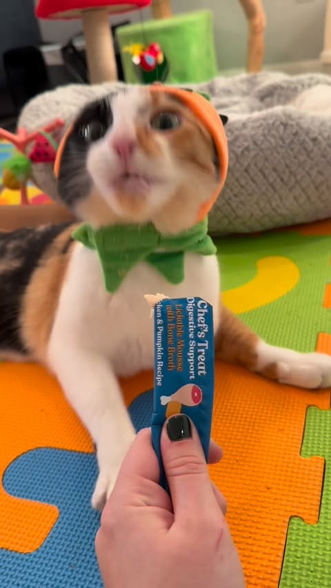 Instagram post by @shakeywobbles for Made by Nacho. Caption reads: [...] just got tastier — 30% off the entire....