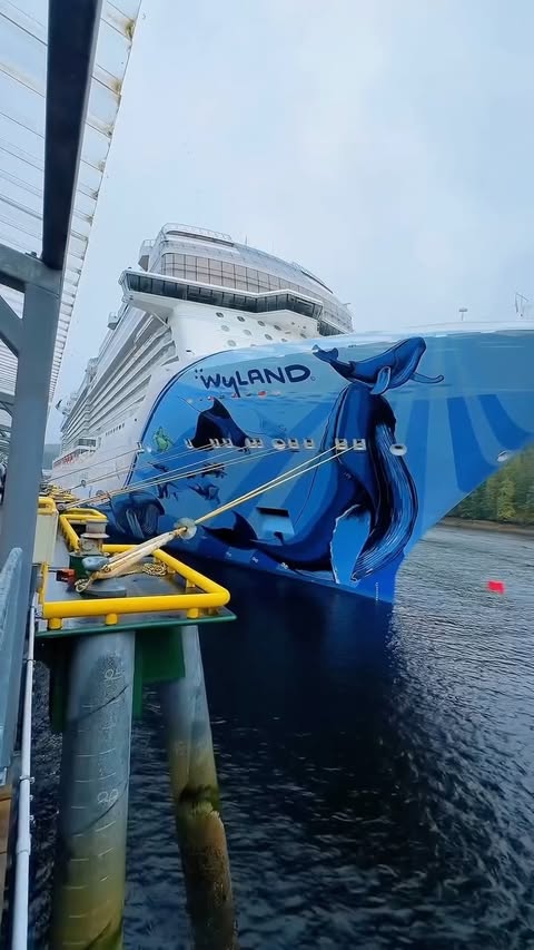 Instagram post by @huda.explores for Norwegian Cruise Line. Caption reads: Do Not Disturb: Bliss loading…....