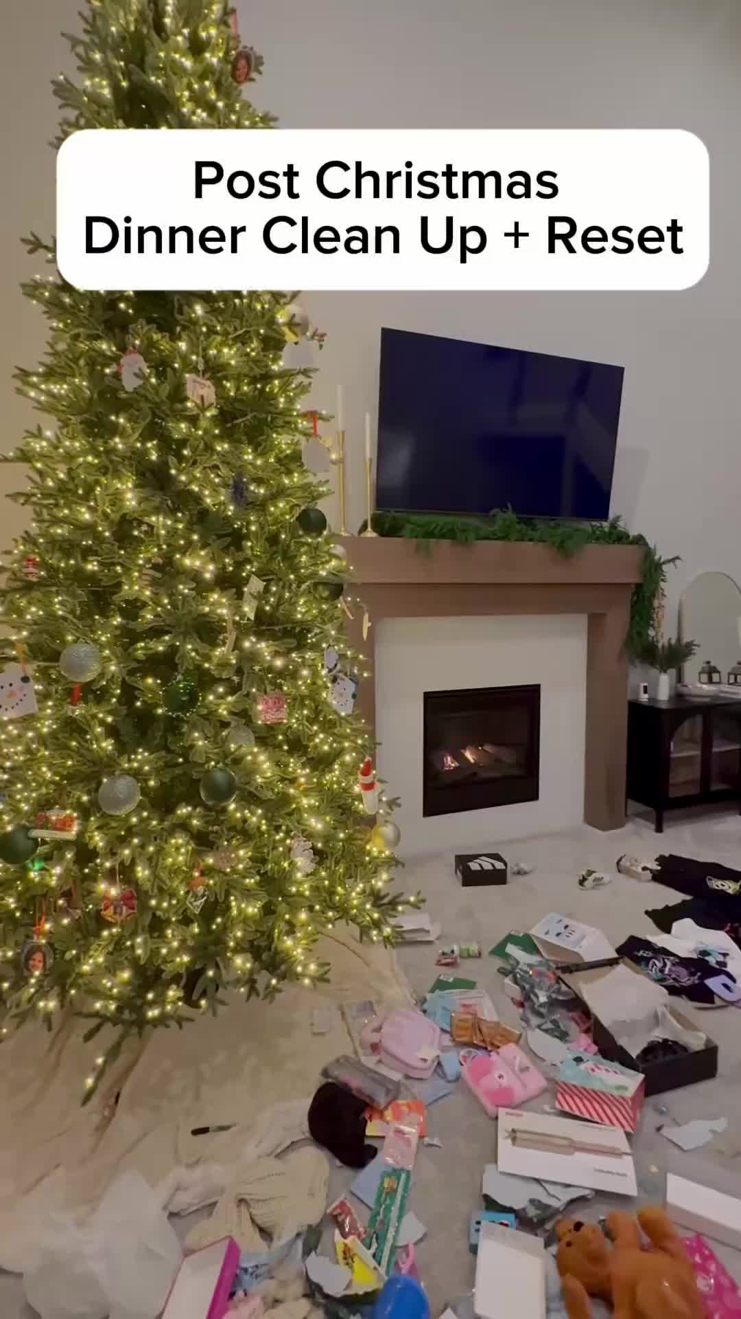 TikTok post by @jamies.journey for Roborock. Caption reads: [...] actually worked at my house 🤍 Meet the....