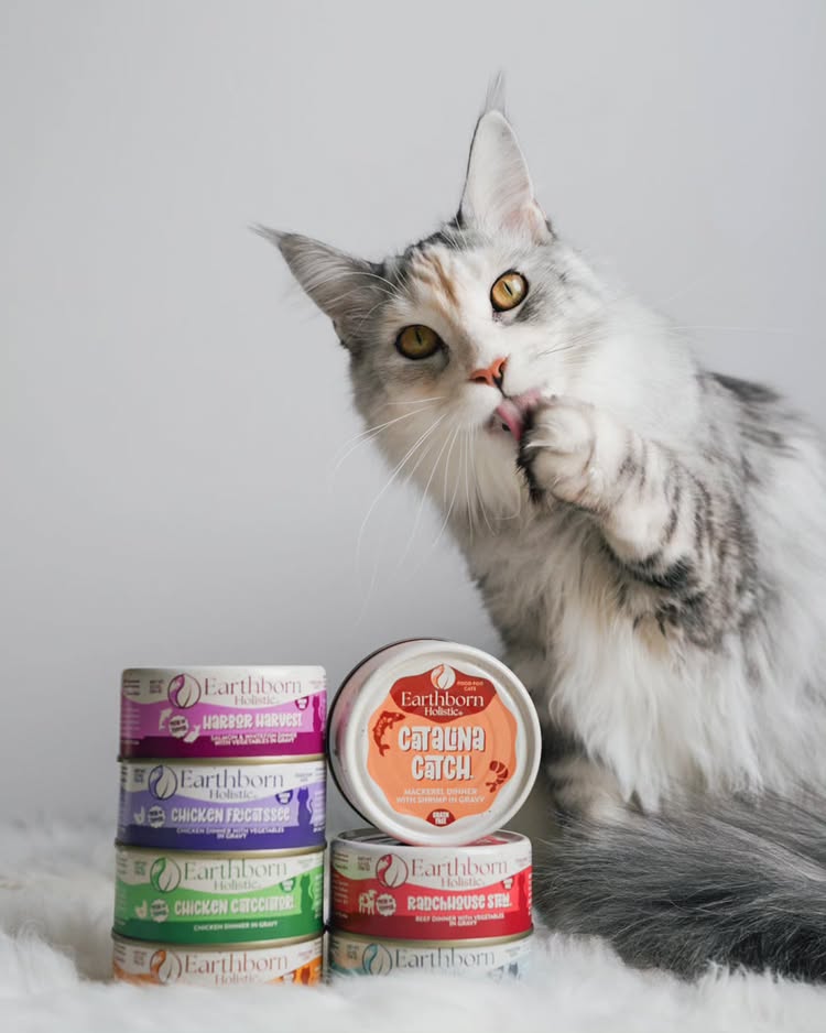 Instagram post by @freya.the.fluff for Earthborn Holistic Pet Food. Caption reads: It's official – I’m obsessed with the NEW....