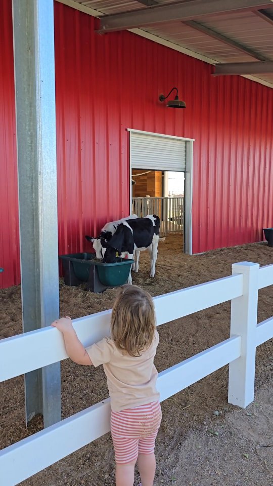 Instagram post by @letthemeatthis for Shamrock Farms. Caption reads: ✨️✨️ Closed✨️✨️ #ad congrats @jaclynrosson
And....