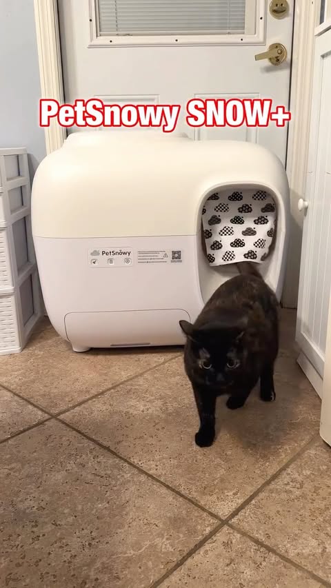 Instagram post by @jennyg2bfit for PetSnowy. Caption reads: [...] A self-cleaning litterbox SNOW+ from....