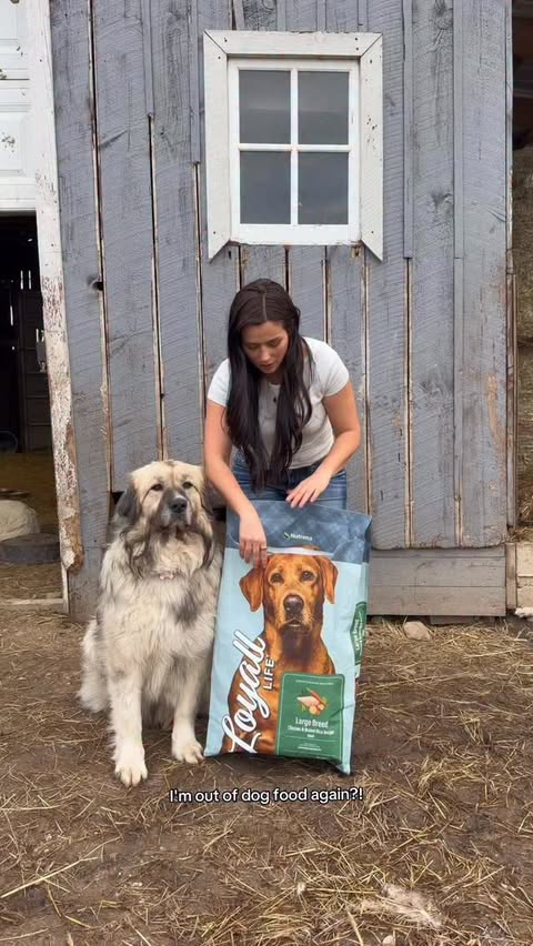 Instagram post by @bedbeth.beyond for Tractor Supply. Caption reads: #ad Tractor Supply’s Buy Online Pick Up [...].
