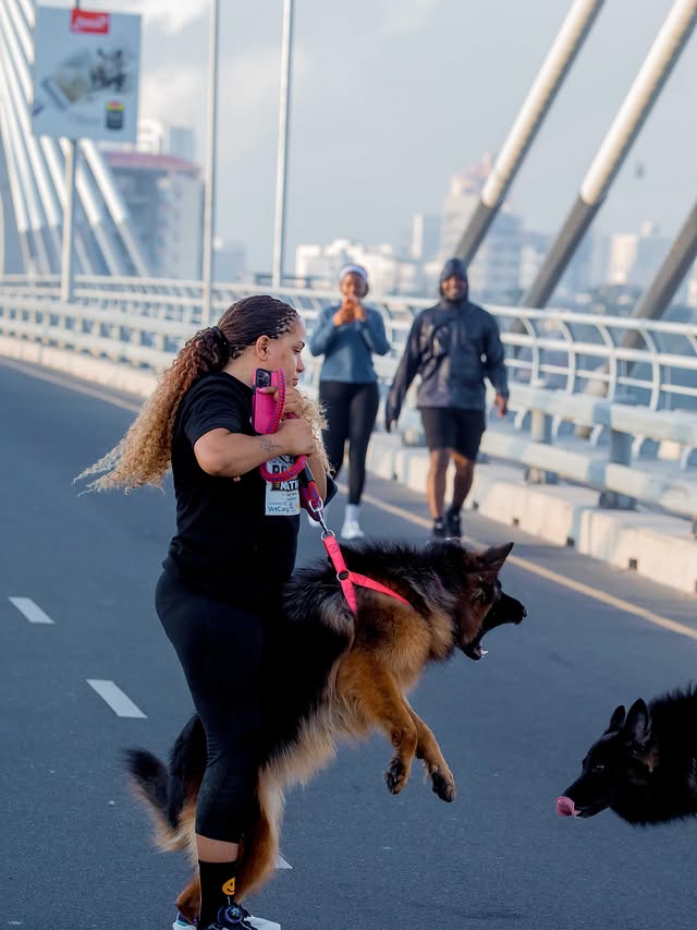 Instagram post by @lisa_fickenscher for Josera Petfood. Caption reads: Who let the dogs out?? I DID 🤭…. Road to DOG....