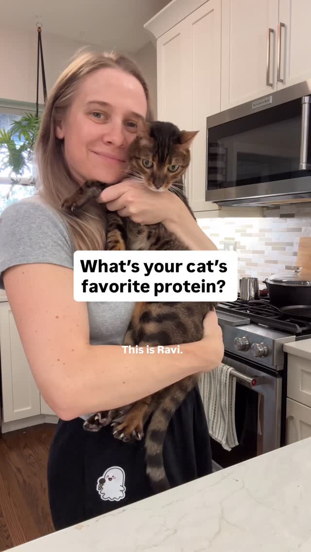 Instagram post by @chicagoblackcat for Darwin's Natural Pet Products. Caption reads: If Ravi could eat chicken everyday he would. But…....