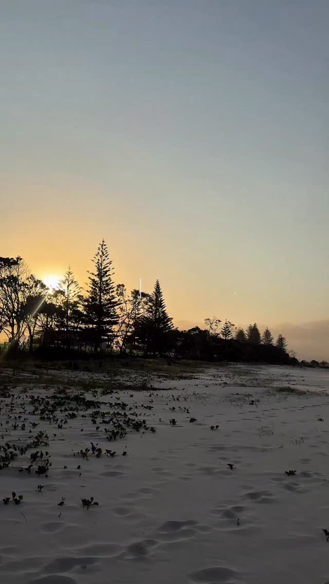 Instagram post by @annalisedalins_ for The Collagen. Caption reads: My kind of morning ritual ☀️ 
A little Beautiful....