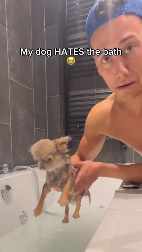 Instagram post by @kaineruddach for Pizza Hut. Caption reads: AD Roni is such a diva😭🫶🏽
I treated us both to....