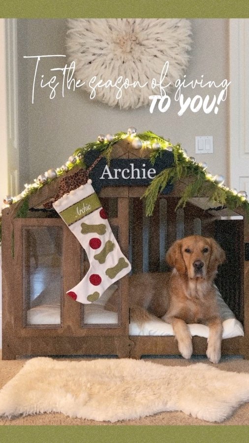 Instagram post by @scoutgoldenretriever for – Wlo Store. Caption reads: [...] we’re partnering with our friends @wlostore....