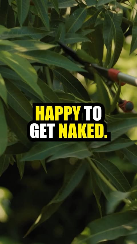 Instagram post by @dwrshow for Continental Tire. Caption reads: Four minutes into dinner with @alexandersims and....