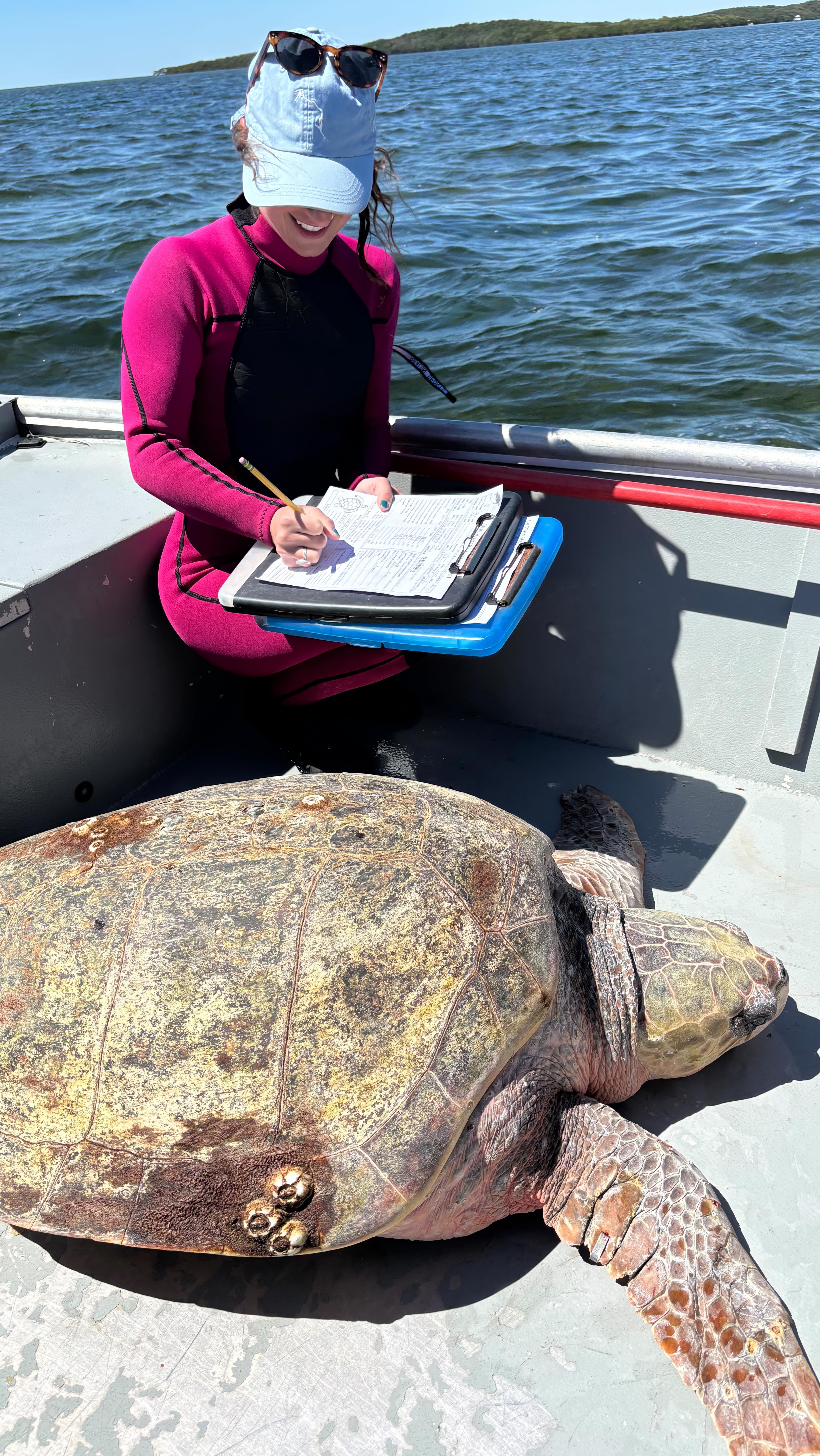 Instagram post by @ocean_alexa for Freestyle Watches. Caption reads: Day in the life as a marine biologist in the field....