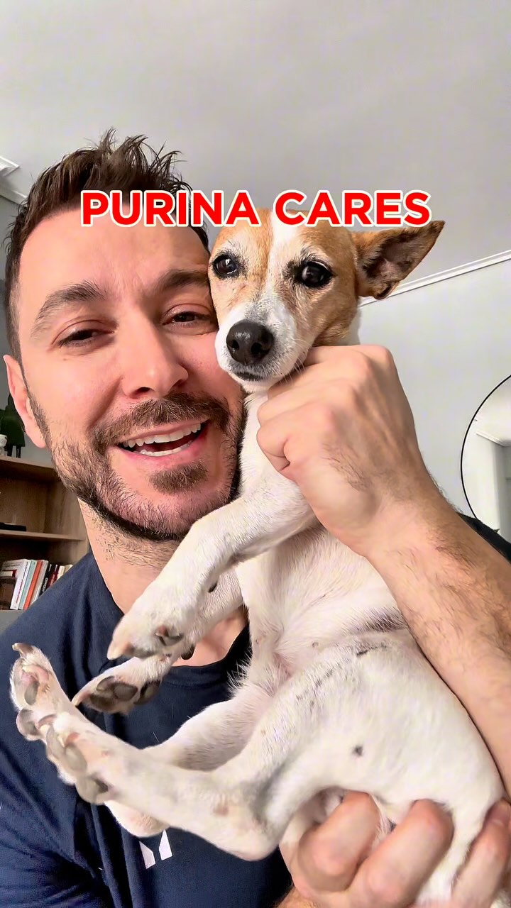 Instagram post by @greg.corpidis for Purina. Caption reads: #ad Με αφορμή την Παγκόσμια Ημέρα Αδέσποτων Ζώων,....