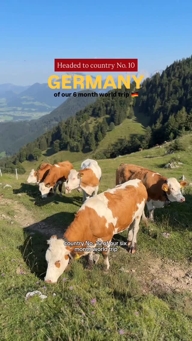 Instagram post by @travelersforgood for Rosetta Stone. Caption reads: [...] to country No. 10: GERMANY 🇩🇪....