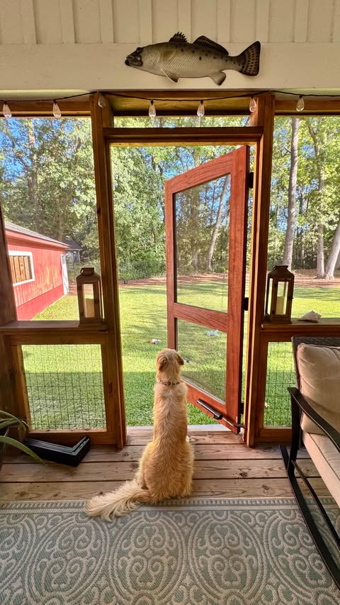 Instagram post by @bettercall_bec for Hero Bread. Caption reads: it’s always lunchtime with @hero bread in the....