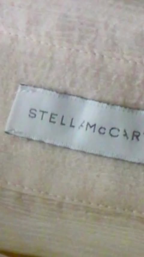 Instagram post by @alisontoby for Stella McCartney. Caption reads: [...] may I have all the pieces from the....