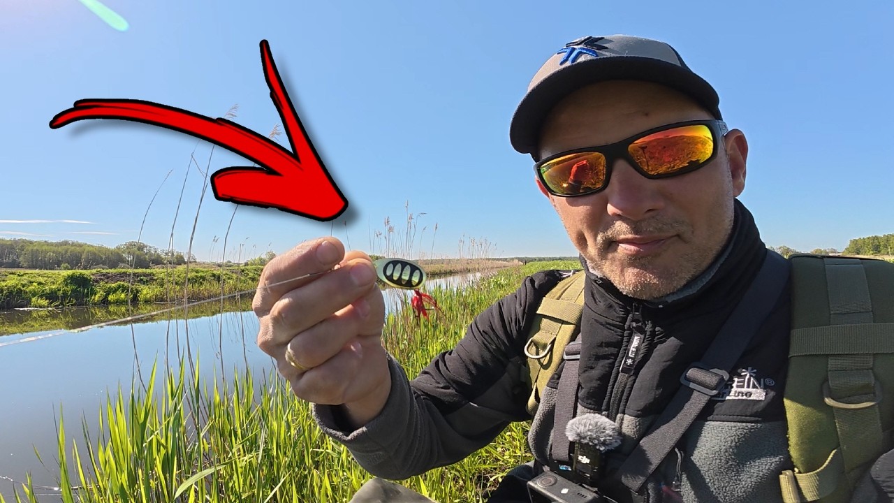 YouTube post by @primanki for fas.st. Caption reads: They hit it with FISH after FISH!!! This plate....