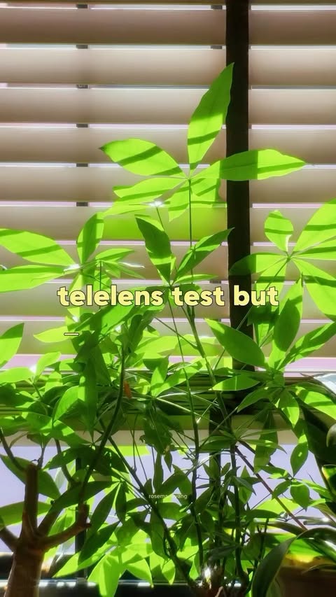 Instagram post by @rosemarieyang for SANDMARC. Caption reads: [...] but make it aesthetic #shotoniphone....