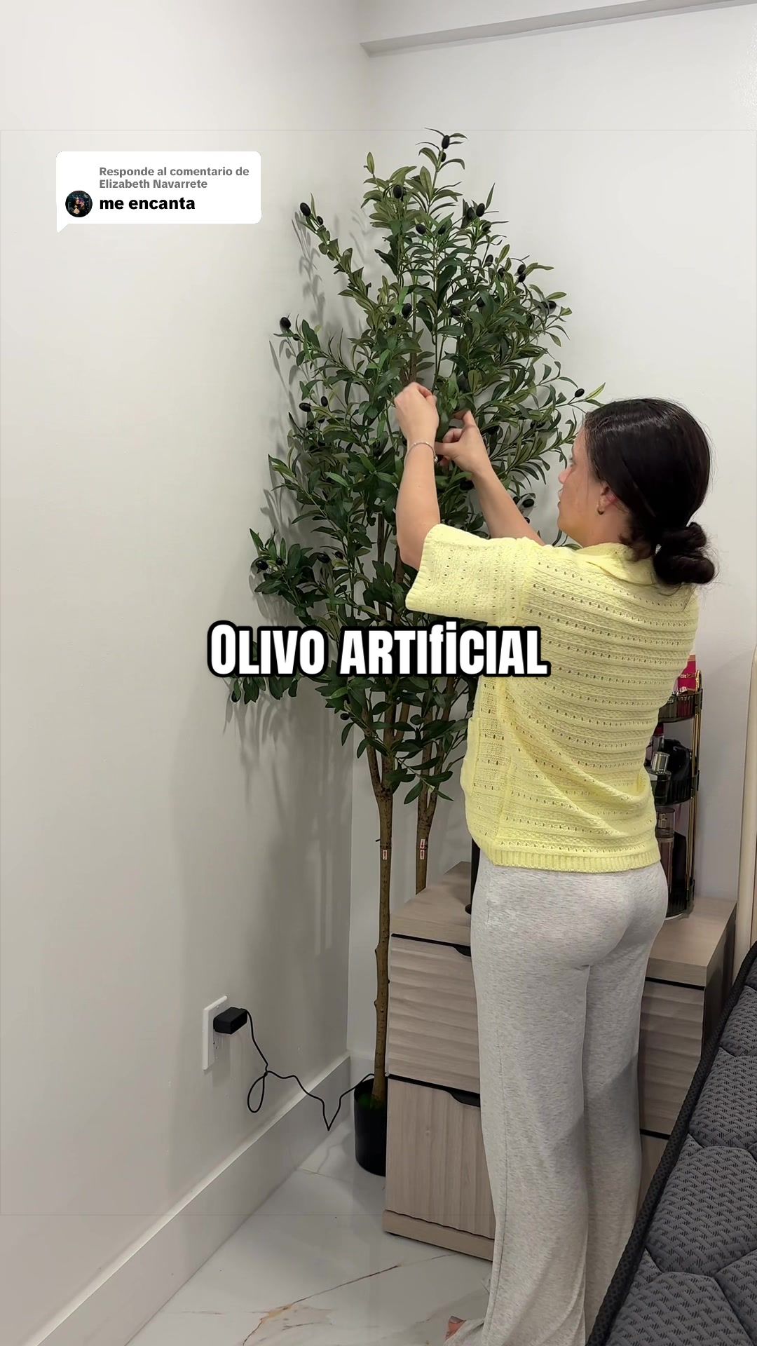 TikTok post by @dane.momshop for Shareconn. Caption reads: [...] #plantadeolivo #olivo #olivoartificial....