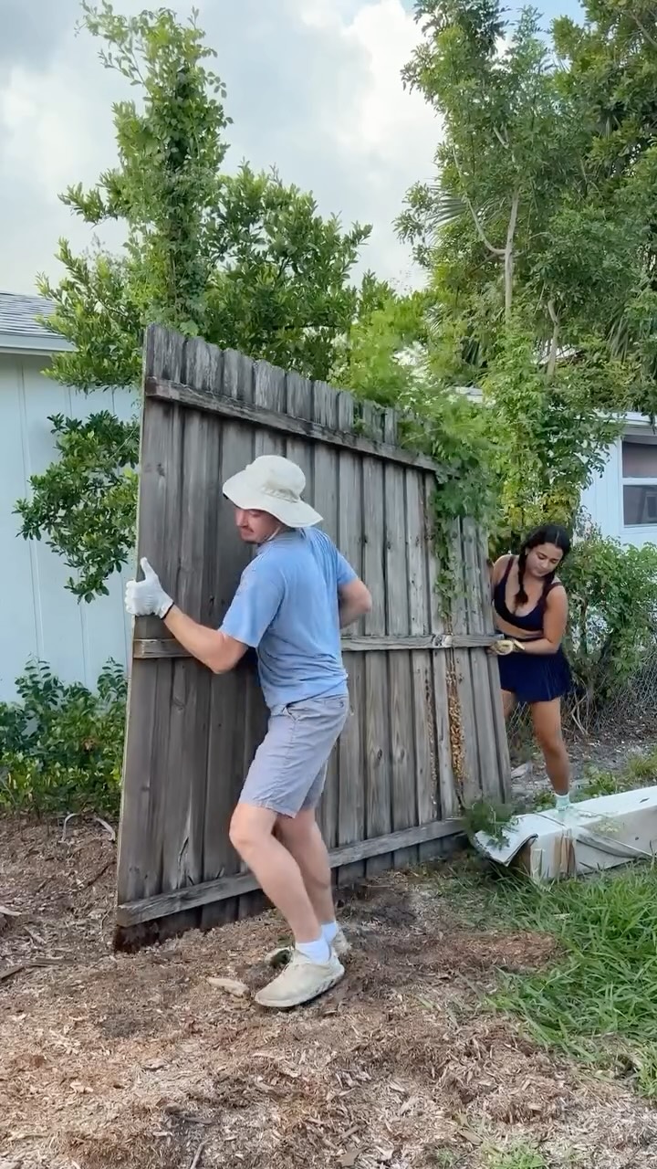 Instagram post by @gabbydolechek for Primal Pet Foods. Caption reads: We got a new fence and @primalpetfoods to give....