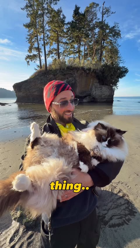 Instagram post by @floofygoose for HOVERAir. Caption reads: [...] doesn’t fit in my pocket 😹 #ad But the....