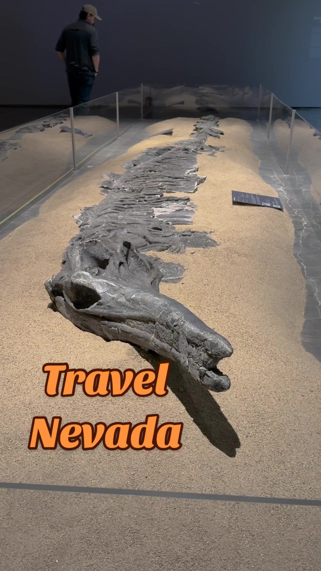 TikTok post by @duranosaur for Travel Nevada. Caption reads: @Travel Nevada and visit Reno’s Nevada Museum of....