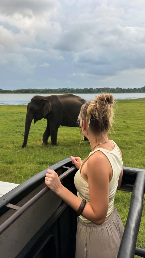 Instagram post by @itsshaylajay for Contiki. Caption reads: fell in love with Sri Lanka 🇱🇰✨🐘
Dare I say,....