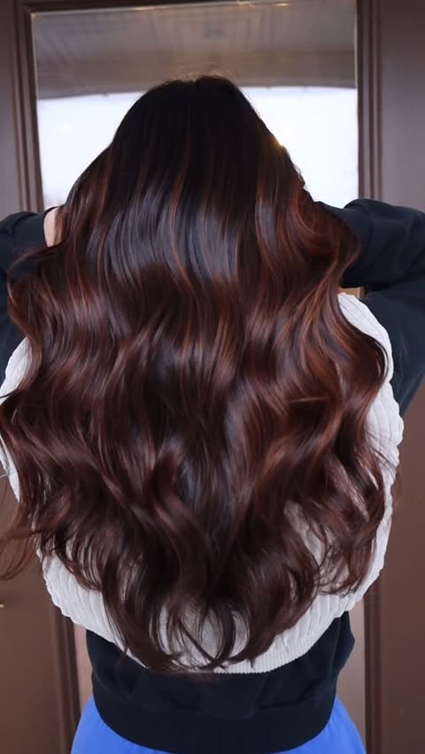 Instagram post by @_danielledoeshair for Moroccanoil Professionals. Caption reads: I’m so obsessed with browns that have a kiss of....