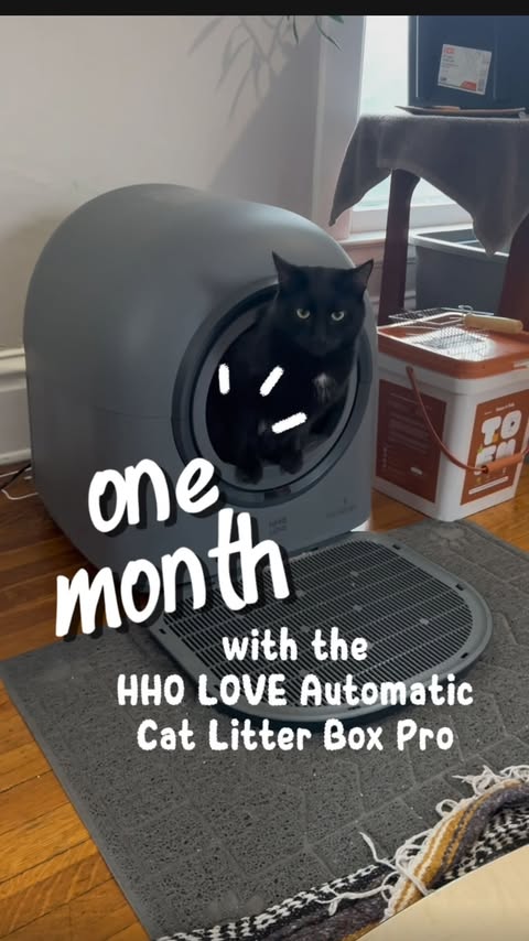 Instagram post by @babayaga_cat for Hholove. Caption reads: one month with the @hholove_global Automatic Cat....