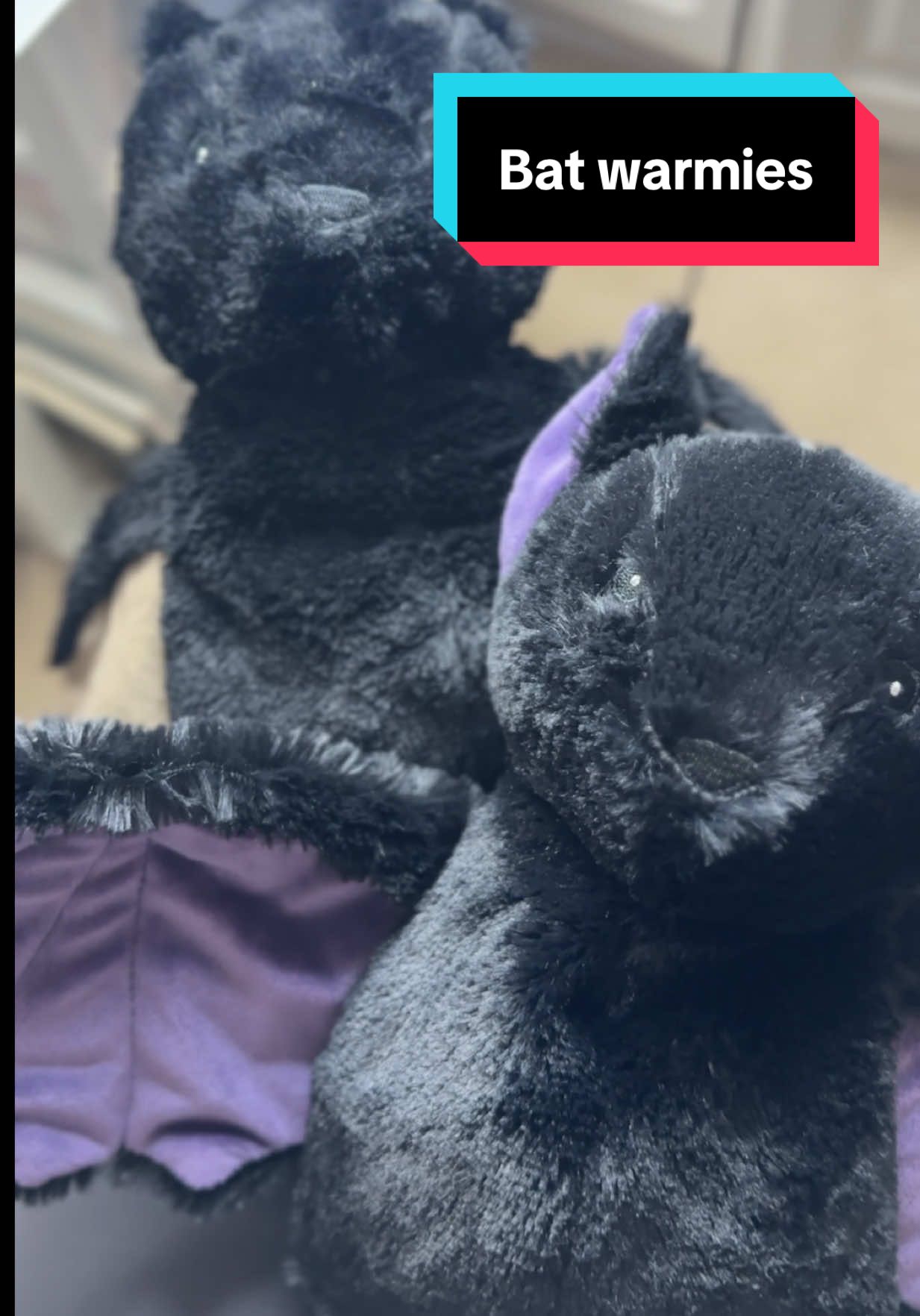 TikTok post by @thespookymamas for Warmies. Caption reads: [...] because I’m obsessed with these little....