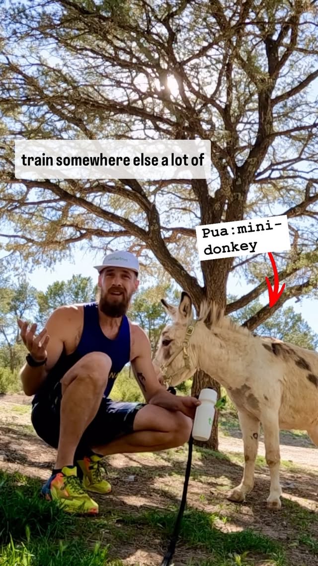 Instagram post by @nmpackburros for Tailwind Nutrition. Caption reads: [...] #trailrun #trailrunning #tailwind....