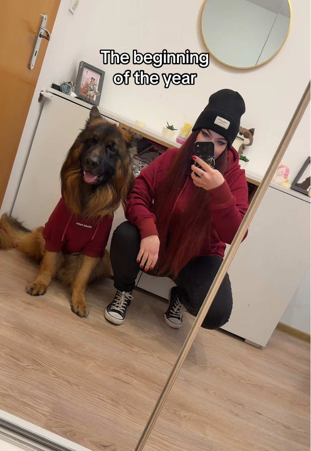 TikTok post by @diistress for Spark Paws. Caption reads: [reklama]  Ready for 2026 with @SPARK PAWS 😍....