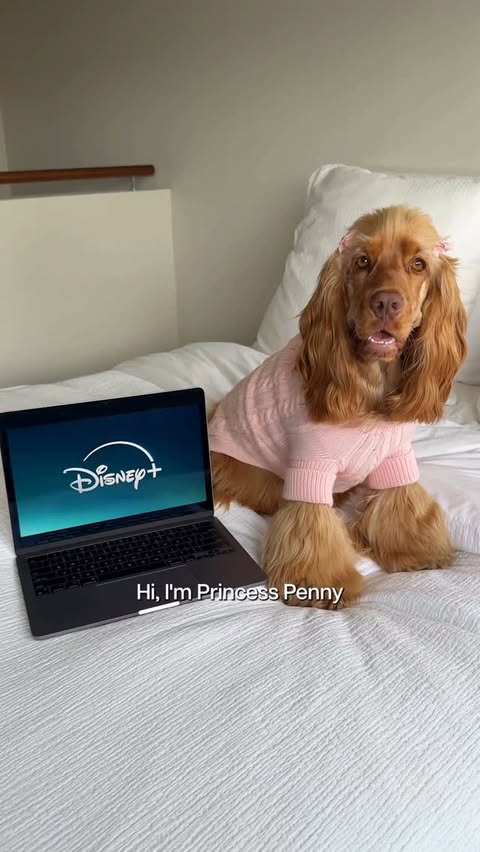 Instagram post by @its_princesspenny for Disney plus. Caption reads: [...] streaming our comfort favourites with....