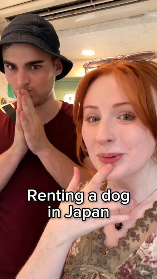 Instagram post by @the.hito.bito for Rosetta Stone. Caption reads: [...] learning for 60% off in our bio!....