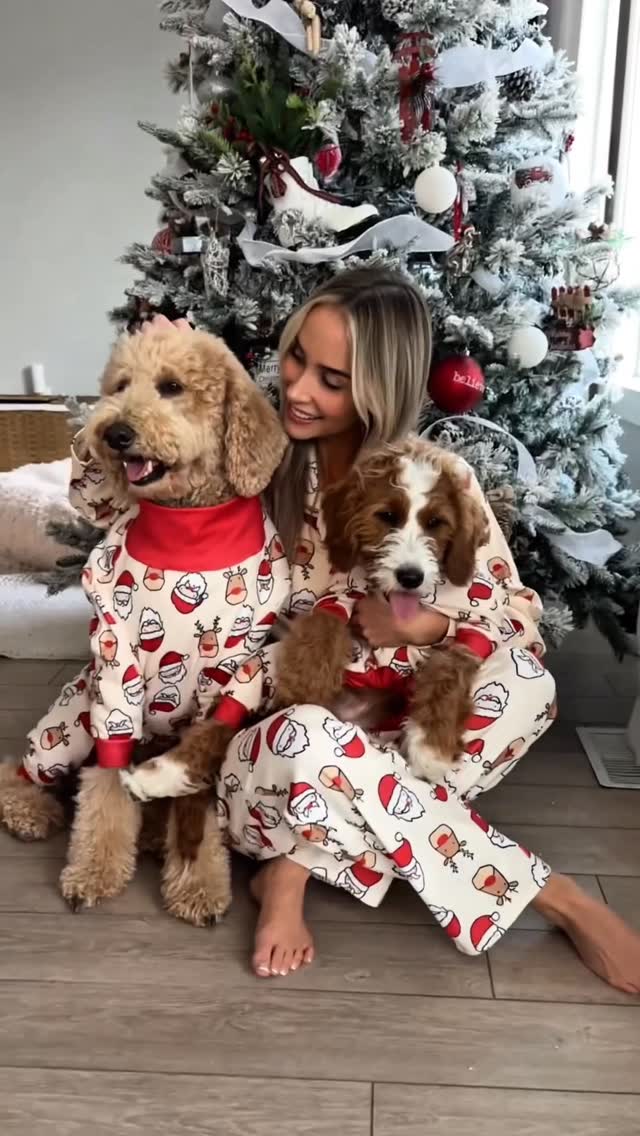 Instagram post by @girlandadoodle for Chewy. Caption reads: 5 of our favorite Christmas traditions ⬇️🎄✨

1.....