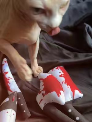 TikTok post by @lilpicklesjar for Potaroma. Caption reads: Get spooky with @Potaroma Pets horror-themed....