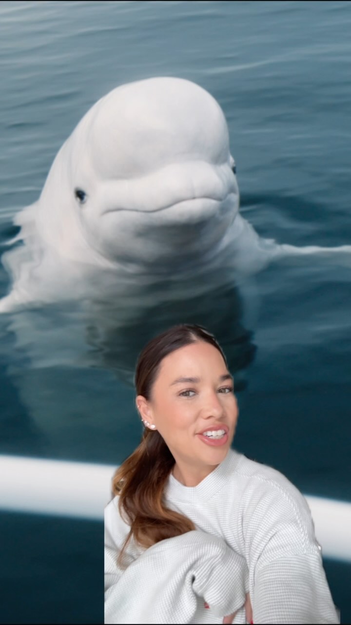 Instagram post by @hannahkosh for NerdWallet. Caption reads: This @nerdwallet teaser has me thinking!! Who do....