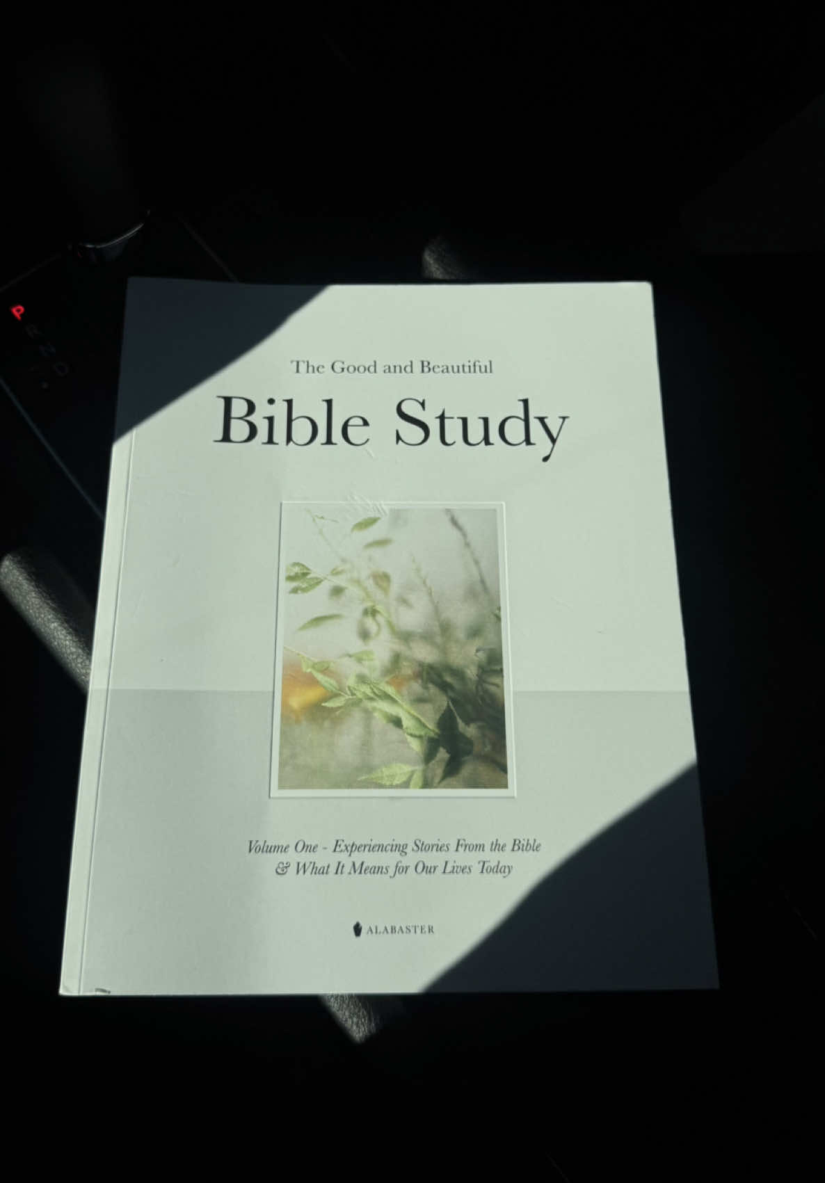 TikTok post by @laysamone for Alabaster Co. Caption reads: If you’re looking for a Bible book that goes....