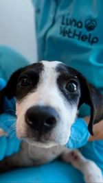 Instagram post by @planetofthejays for GoFundMe. Caption reads: [...] make a difference together! Join our....