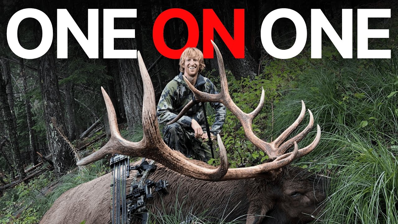 YouTube post by @Stuckntherut1 for Ollin. Caption reads: ONE ON ONE / ARCHERY ELK HUNT - Stuck N The Rut....
