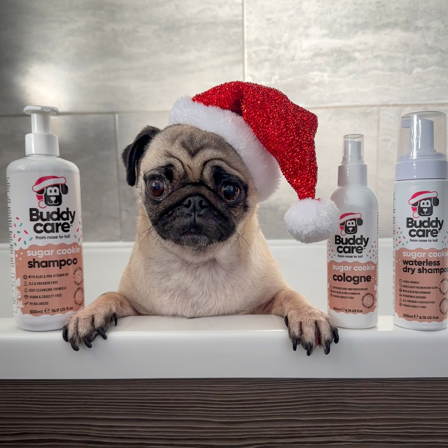 Instagram post by @cookiethepug.2021 for Buddycare Grooming. Caption reads: Just a little cookie smelling of sugar cookies for....