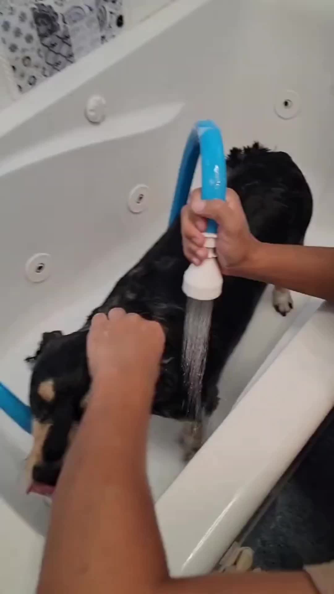 TikTok post by @dustyjean1 for Rinseroo. Caption reads: [...] drown your pet in the bathtub? get the....