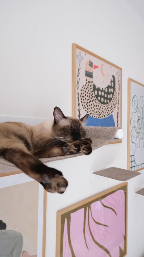 Instagram post by @living_withnora for LucyBalu. Caption reads: Living vertically 🛋️ with @lucybalu 
When design....