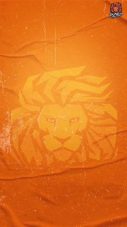 Instagram post by @puneripaltanofficial for Vision11. Caption reads: As we put the curtains on PKL Season 10. We....