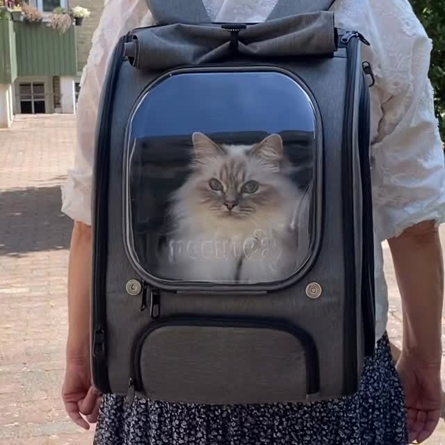 Instagram post by @charlie_mollybirma for Pecute. Caption reads: [...] and beautiful Cat Carrier Backpack from....