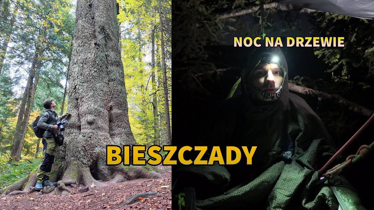 YouTube post by @BANOT for E-Militaria. Caption reads: The Tallest Trees in the Bieszczady Mountains /....
