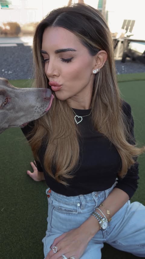 Instagram post by @therealmorganhale for Sundays for Dogs. Caption reads: [...] MORGAN50 for 50% off your first....